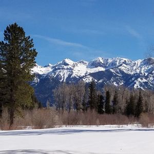 Meet your Posher, Leonard